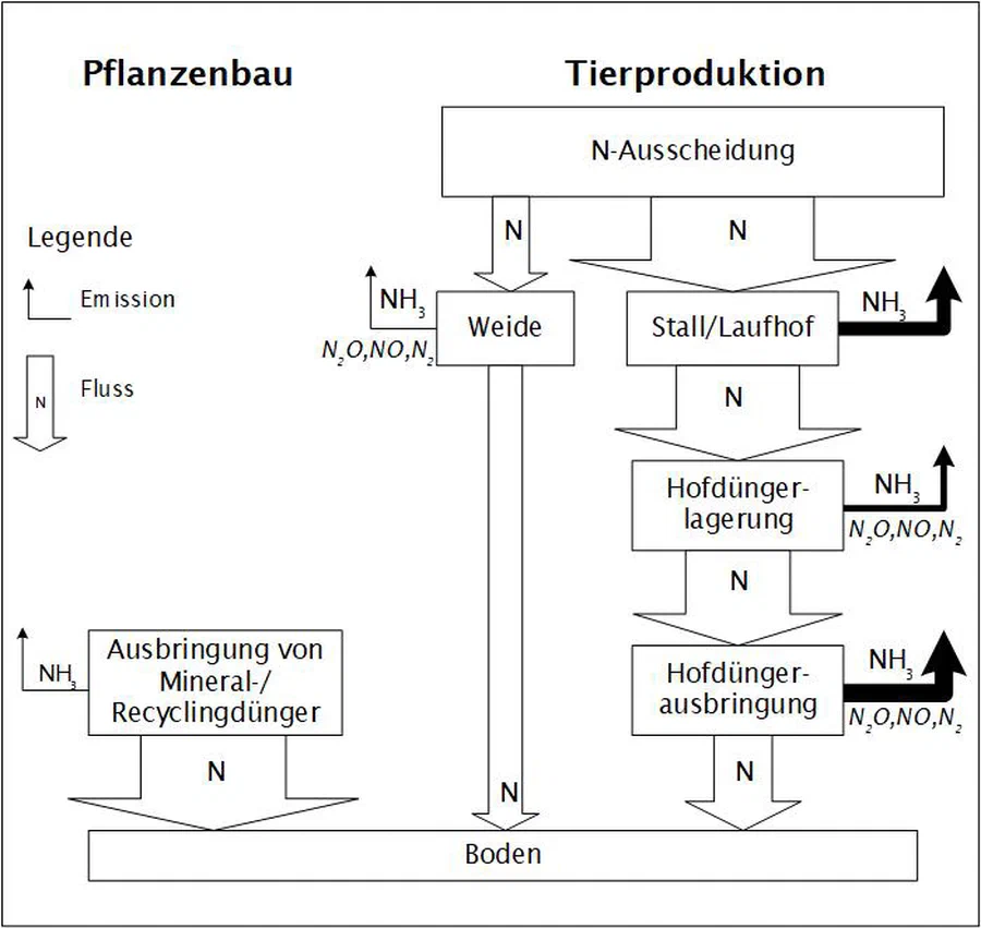 Schematische Darstellung (Flussmodell)