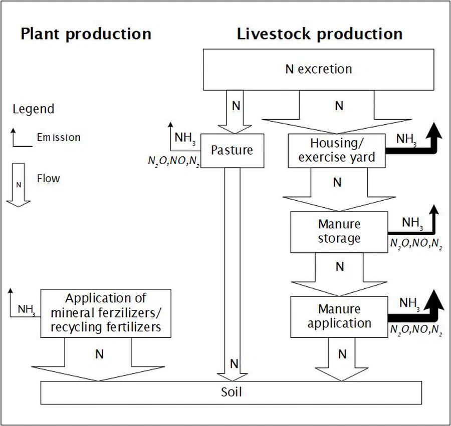 Schematic representation (Flux Model)