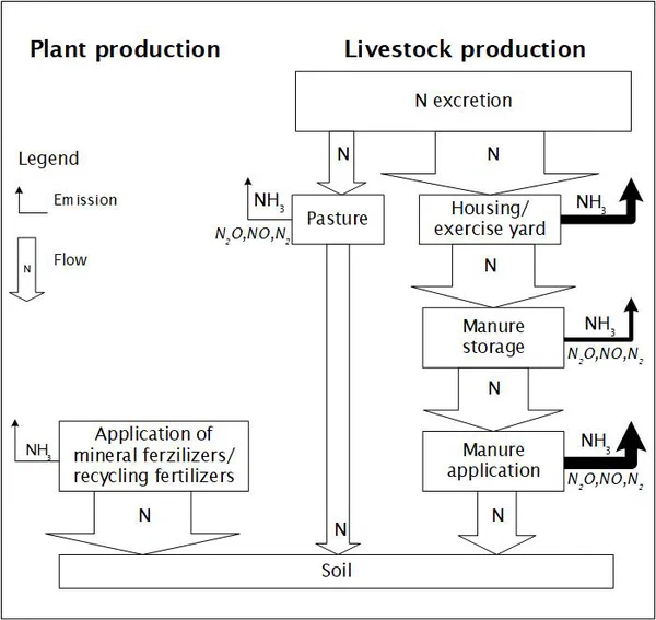 Schematic representation (Flux Model)