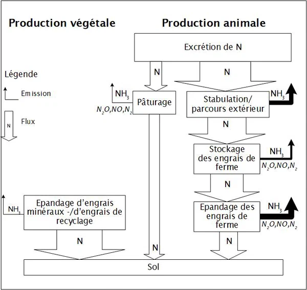 Visualisation schématique (modélisation des flux)
